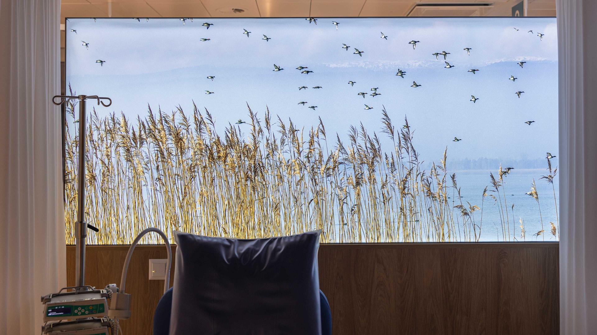 Onkologie Therapieraum Wandbild